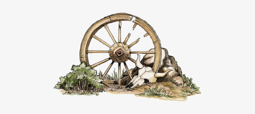 Car, transparent png