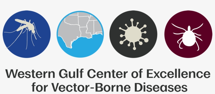 Picture Transparent Bacteria Vector Disease - Disease, transparent png