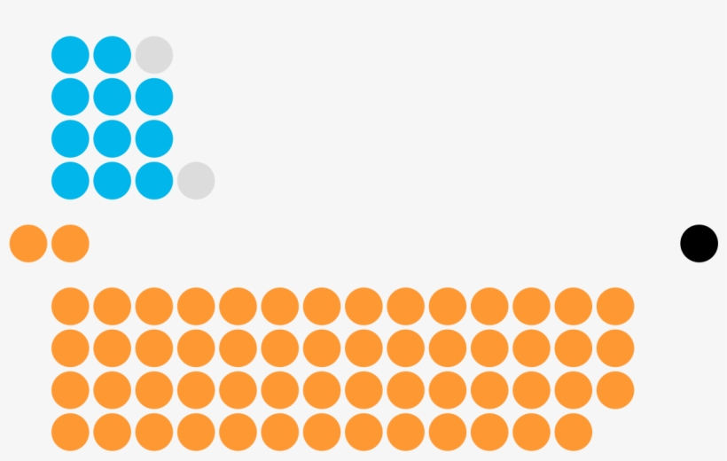 Tissue Microarray, transparent png
