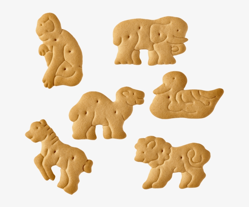 Cracker Clipart Animal Cracker Animal Crackers Clipart 800x600 PNG
