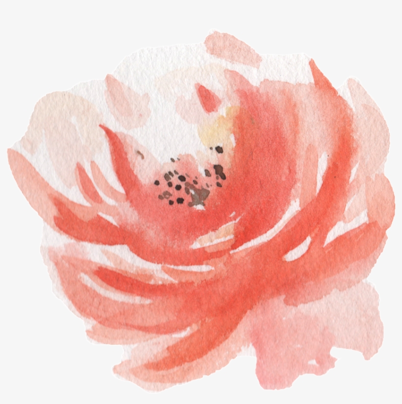 Pink Watercolor Hand Painted Flowers Transparent - Watercolor Painting, transparent png