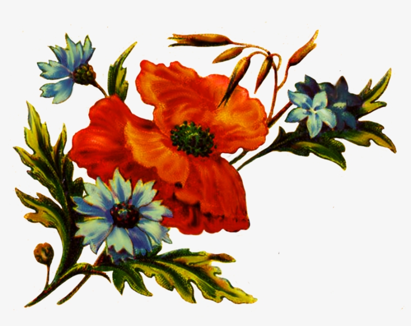 Digital Scrapbooking Flowers Floral For Decoration - Cliparts Decoration Png Scrapbook, transparent png