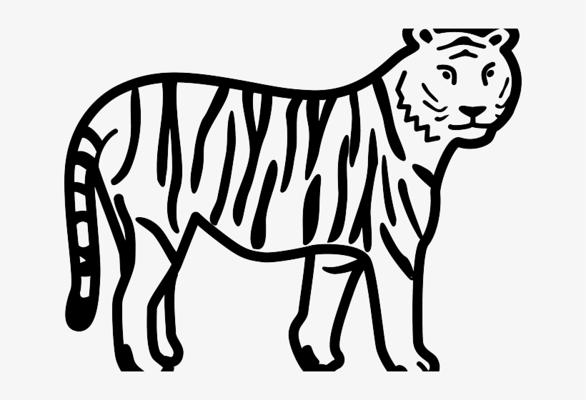 White Tiger Clipart Panda - Tiger Images Black And White, transparent png