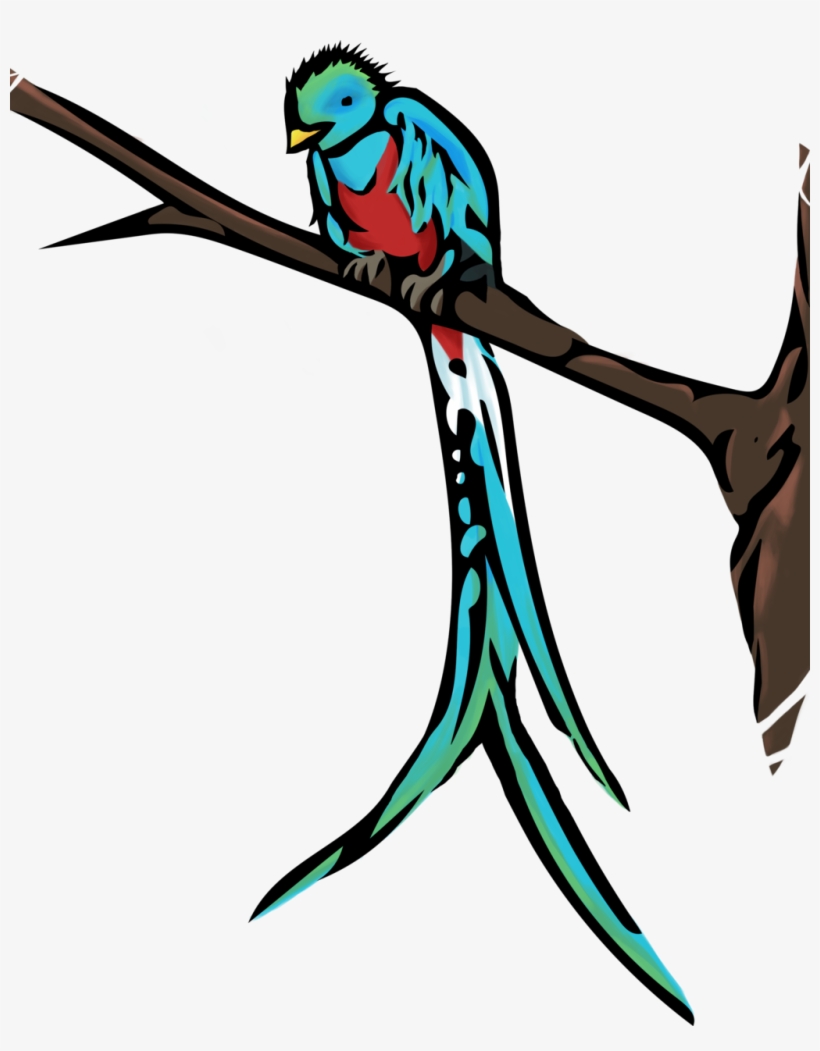 Quetzal - Guatemala Cliparts, transparent png