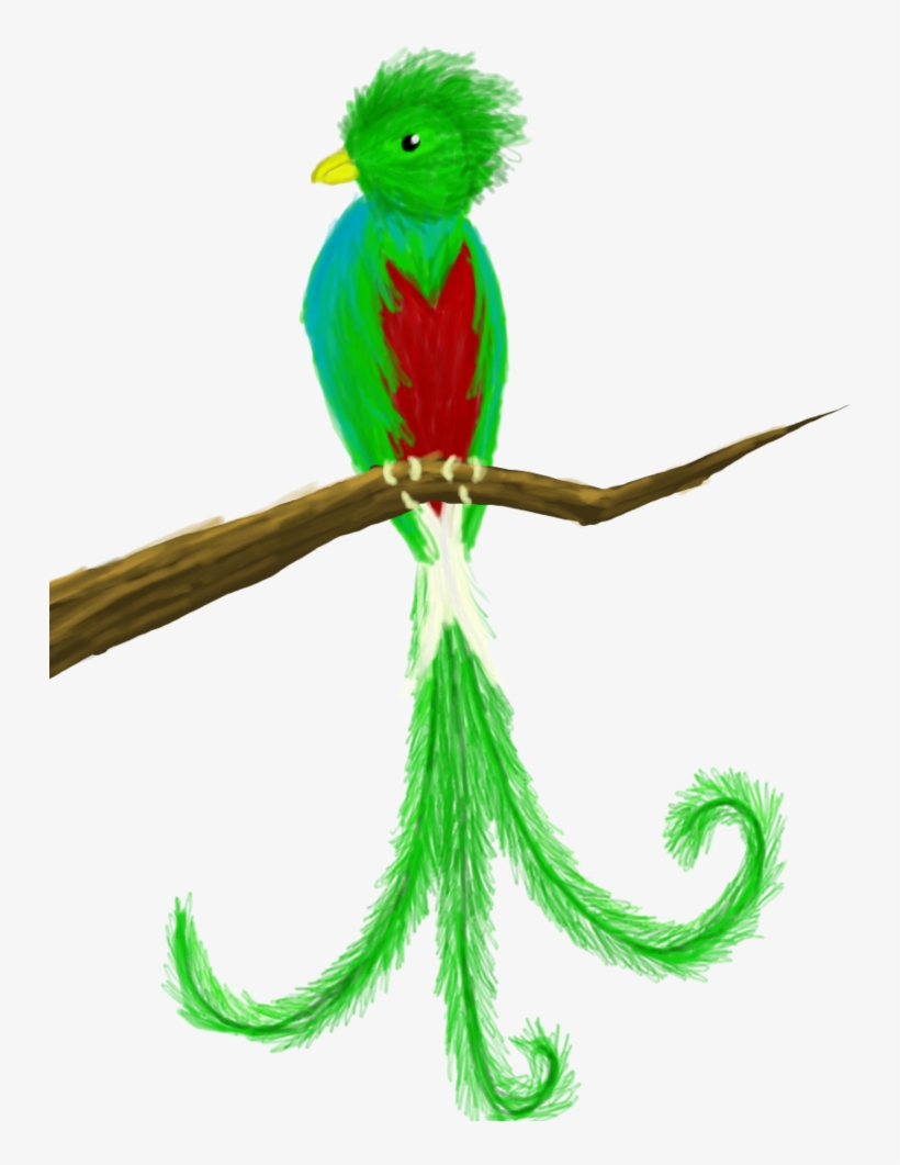 Quetzal - Quetzal Clipart Png, transparent png