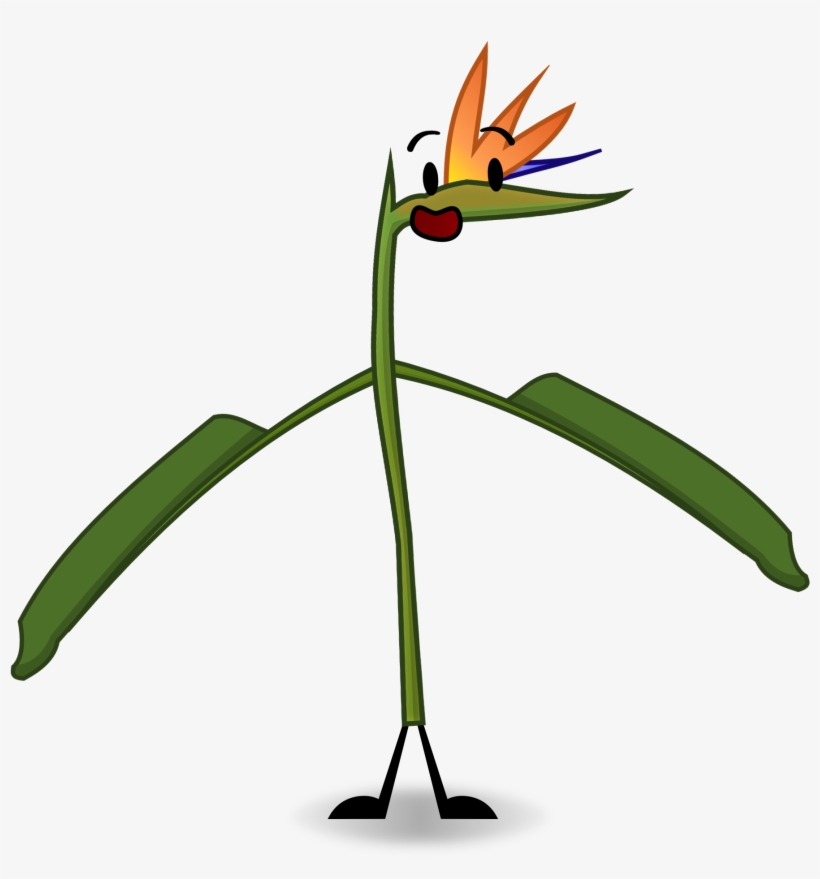 Crane Flower - Object Connects Crane Flower, transparent png