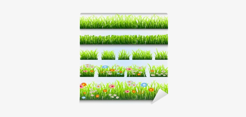 Vector Graphics, transparent png
