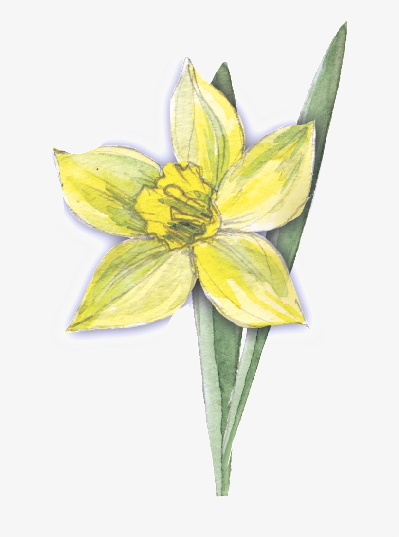 Moisture Yellow Flower Transparent Decorative - Yellow, transparent png