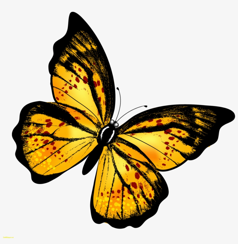 Monarch Butterfly Clipart Hindu God - Per Aspera Ad Astra [book], transparent png