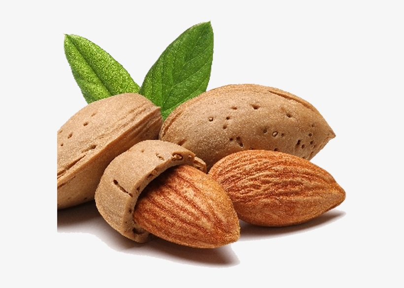 Nuts - Nook Artisan Voluttuosa Anti-humidity Volume Spray, transparent png