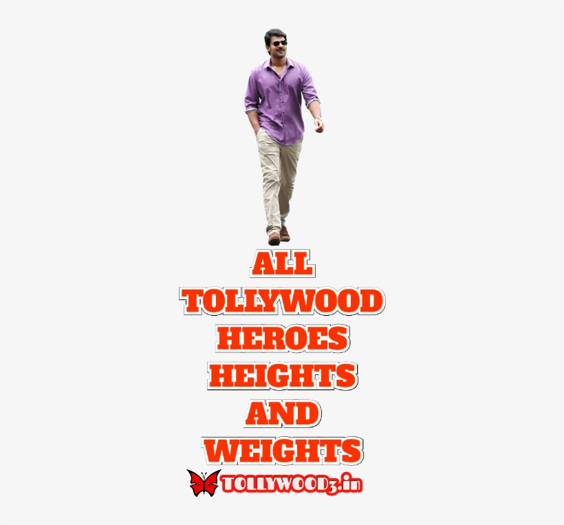 Height Of Tollywood Heroes, transparent png