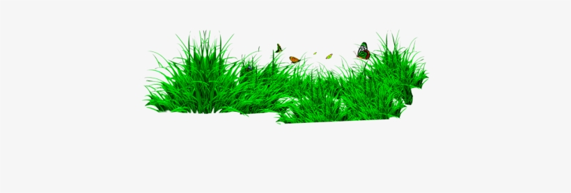 Grass Png - Png Format Grass Png Hd, transparent png
