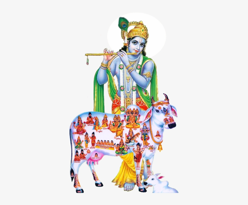 Donate - Kamdhenu Cow, transparent png