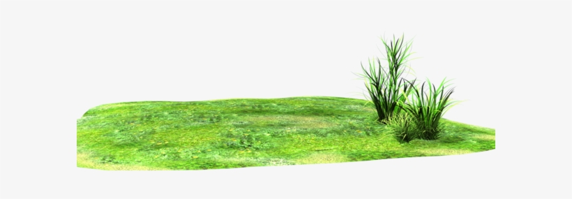 Side Glance Of By Madetobeunique On Deviantart - Grass Land Png, transparent png