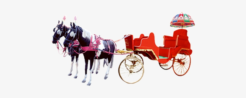 Let Us Make Your Special Day Unforgettable, We Belive - Wedding Chariot Png, transparent png