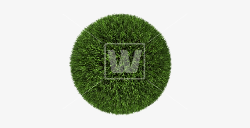 Grass Ball - Glassy Globe - Portable Network Graphics, transparent png