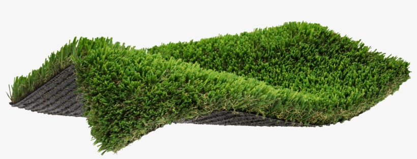 Desert Oasis Inspired - Hedge, transparent png