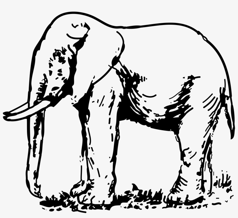 Picture Royalty Free Stock Big Image Png - Elephant Black & White, transparent png