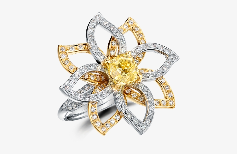 Sel - Ring, transparent png