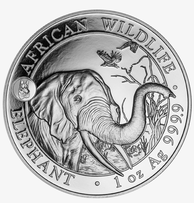 2018 Somalian Elephant With Dog Privy 1oz Silver Coin - Somali Elephant Silver Coin, transparent png