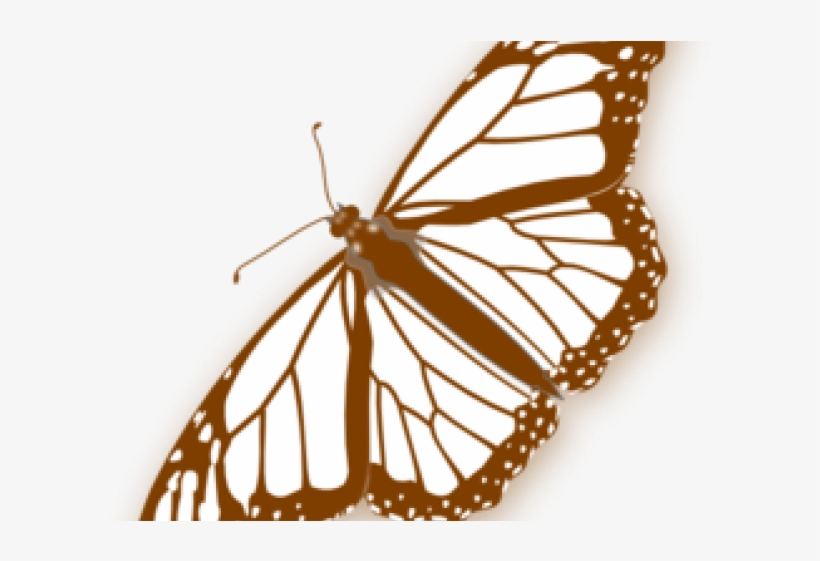 Monarch Butterfly Clipart Png Full Hd - Monarch Butterfly Chrysalis Coloring, transparent png