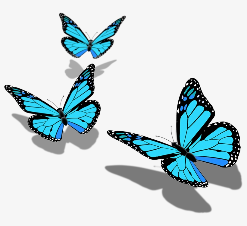 Monarch Butterfly - Butterfly Png Pic Hd, transparent png