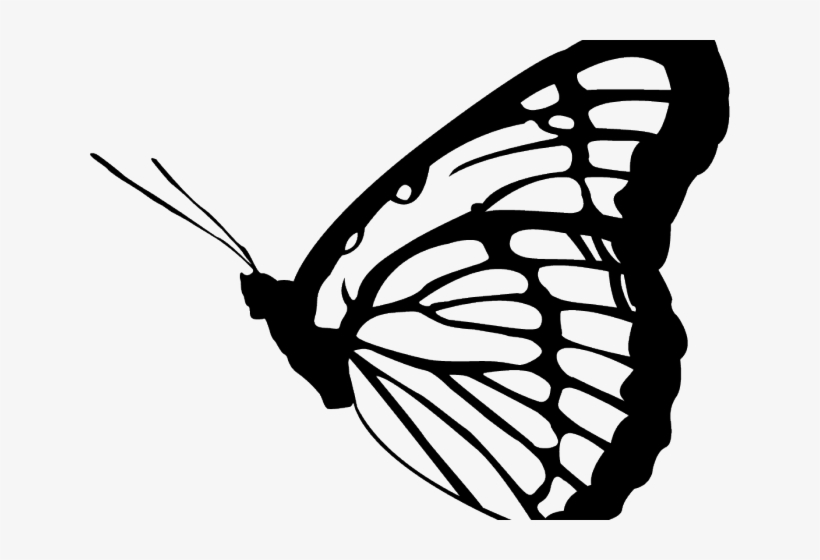 Monarch Butterfly Clipart Png Full Hd - Law Of Attraction Is Not A Secret, transparent png