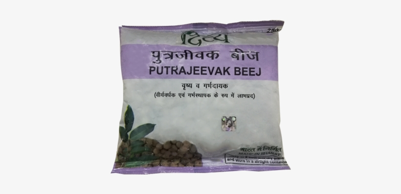 Putra Bijak Patanjali, transparent png