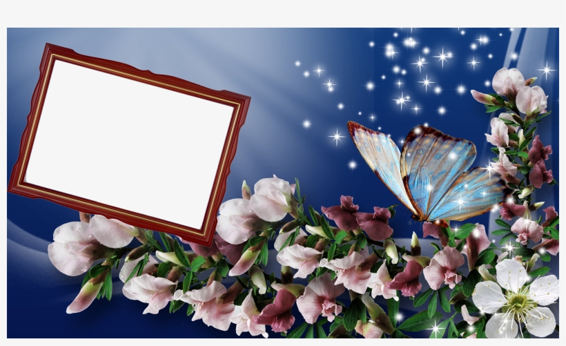Frames - Frame Images Png Hd, transparent png