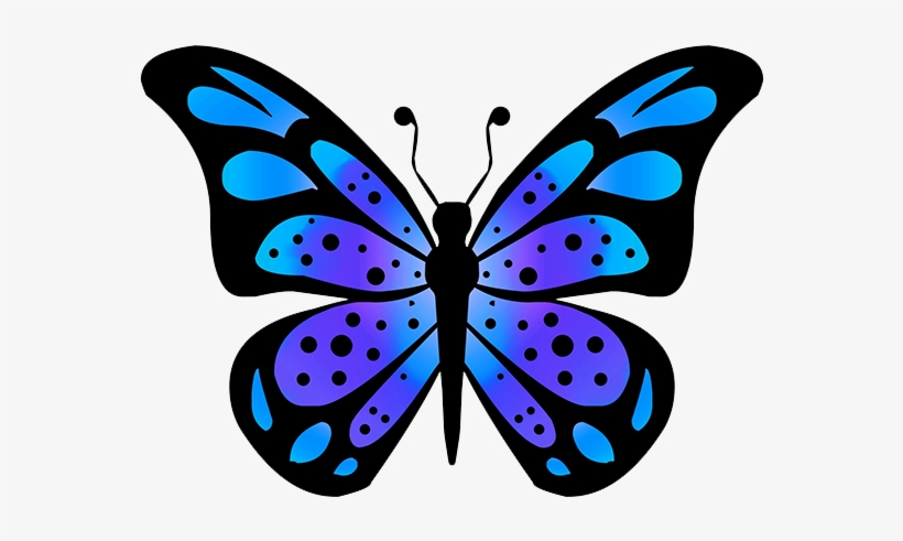 Butterfly Clipart, transparent png