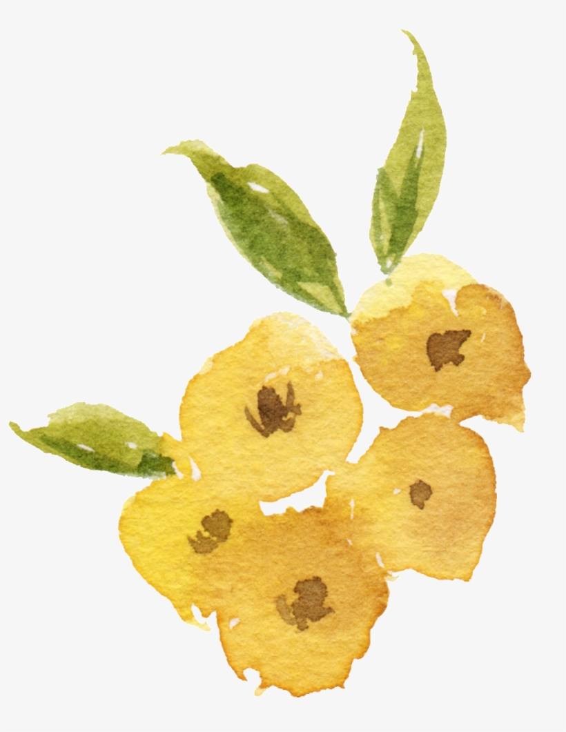 Watercolor Painting, transparent png