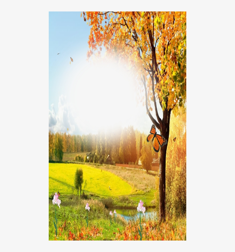 Freeuse Library Nature Beauty Photo Frame App Ranking - Beautiful Nature Frame Png, transparent png