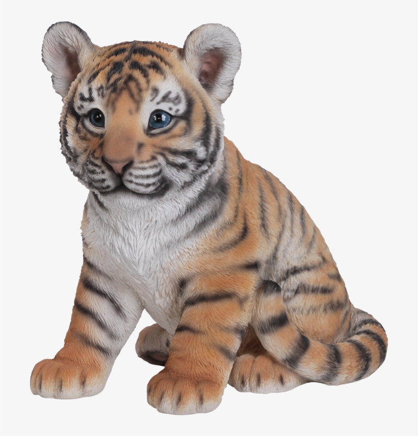 Clip Freeuse Stock Vivid Sitting Cub Resin Garden Ornament - Baby Tiger Png, transparent png
