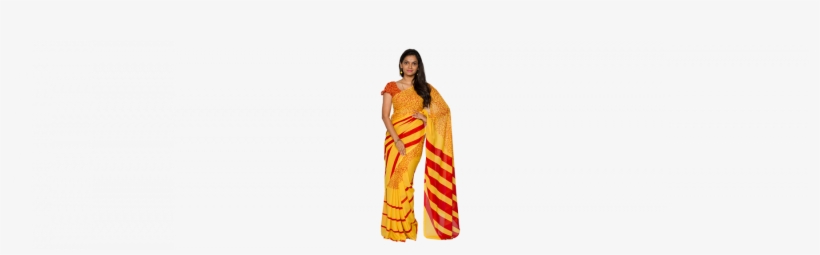 Sari, transparent png