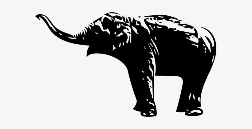 Elephant, Animal, Wild Animal, transparent png