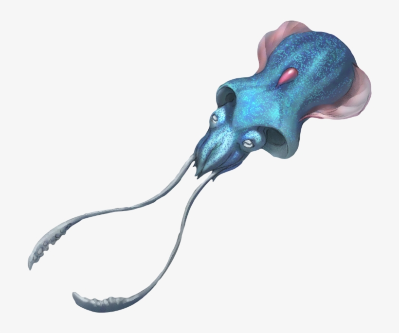 Tentacool Arvalis - Arvalis Real Life Pokemon Png, transparent png