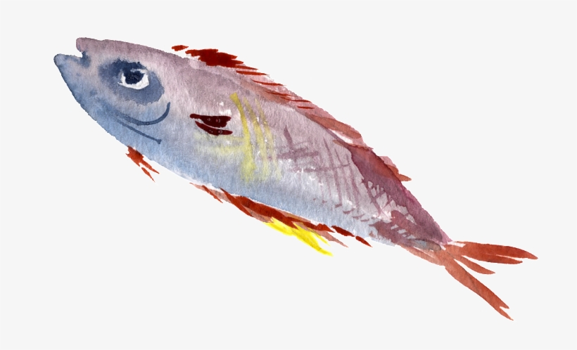 Colorful Watercolor Hand Drawn Fish Transparent - Fish Painting Png, transparent png