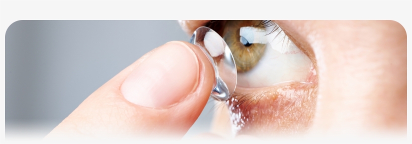 The Perfect Contact Lenses - Contact Lens, transparent png