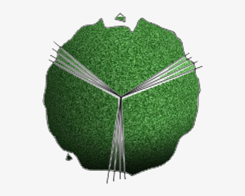 Beringin Tree - Photoshop Trees 2d Sketches, transparent png