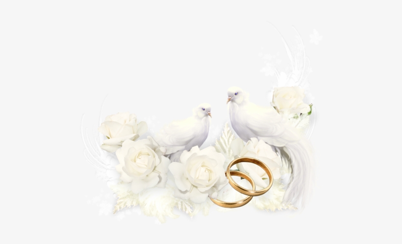 Happy Anniversary Wedding, Wedding Borders, Wedding - Fondo De Tarjetas De Boda, transparent png