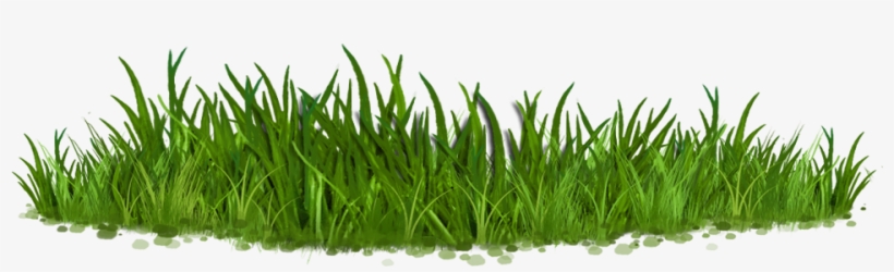 Quick Order Now - Sweet Grass, transparent png
