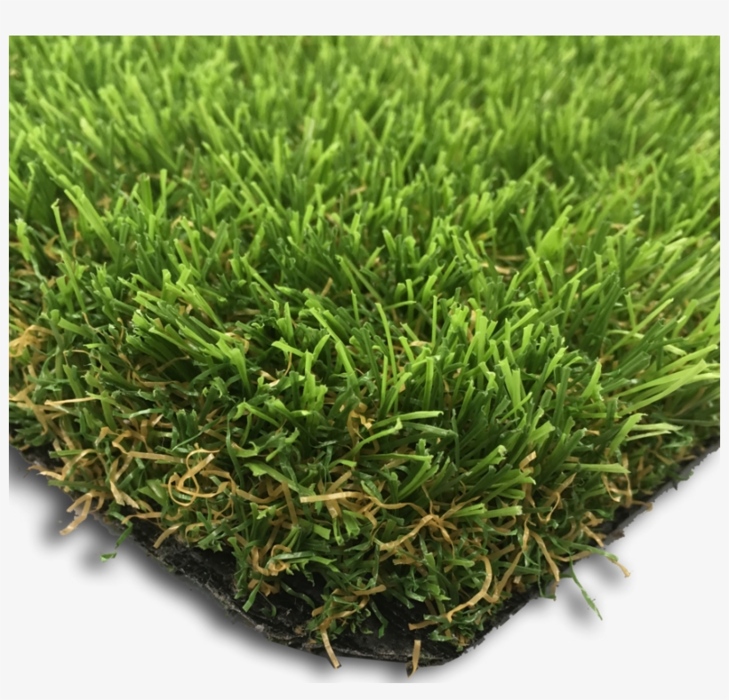 Product Details - Lawn, transparent png
