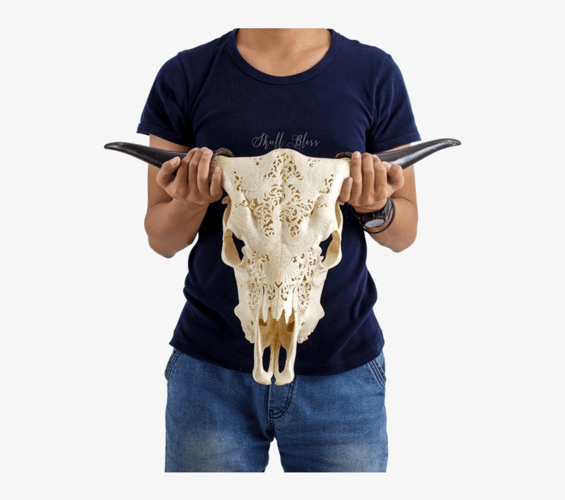 Carved Cow Skull - Cow Skull Indian Eagles, transparent png