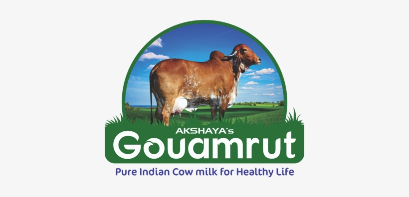 9573 433 666 - Gir Cow Milk Packaging, transparent png