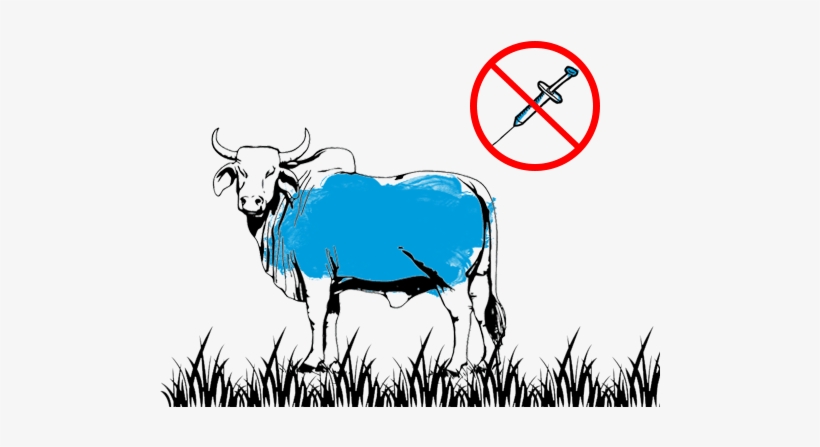 No Growth Hormones, transparent png