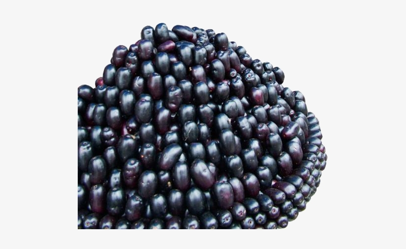Jamun Java Plum Png Image - Jamun Fruit, transparent png