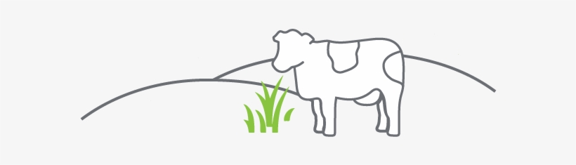 Birth - Cattle, transparent png