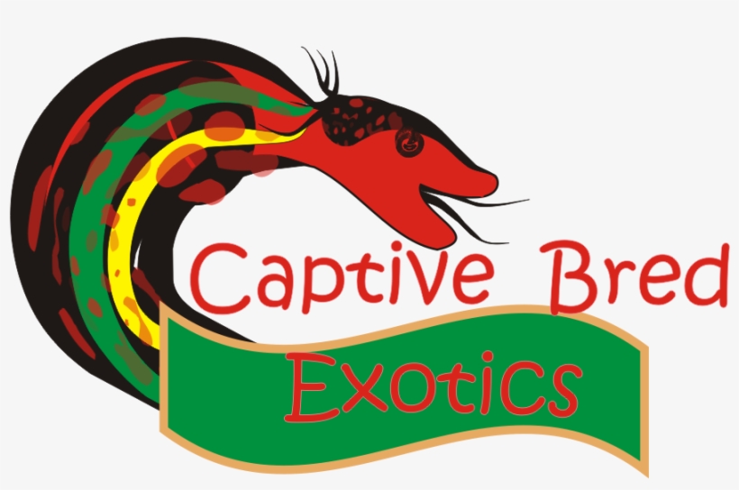 Logo Design By Rakhi For Captive Bred Exotics - Insect Egyuttes, transparent png