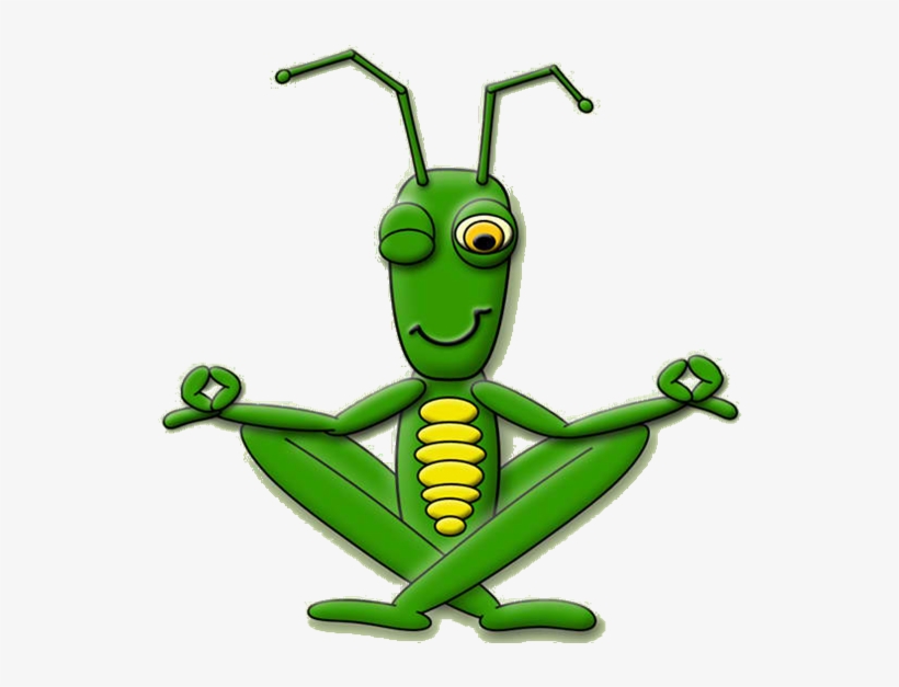 Cricket Insect Png Pic - Cricket Insect, transparent png