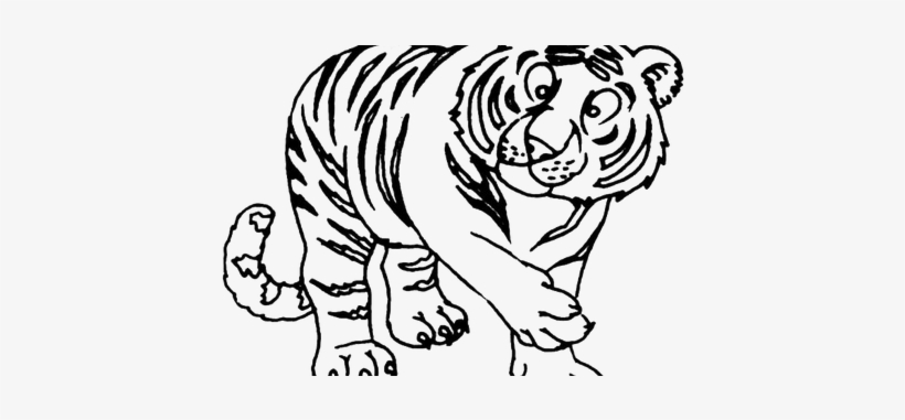 Jpg Black And White Hindu Drawing Tiger - 老虎 卡通, transparent png
